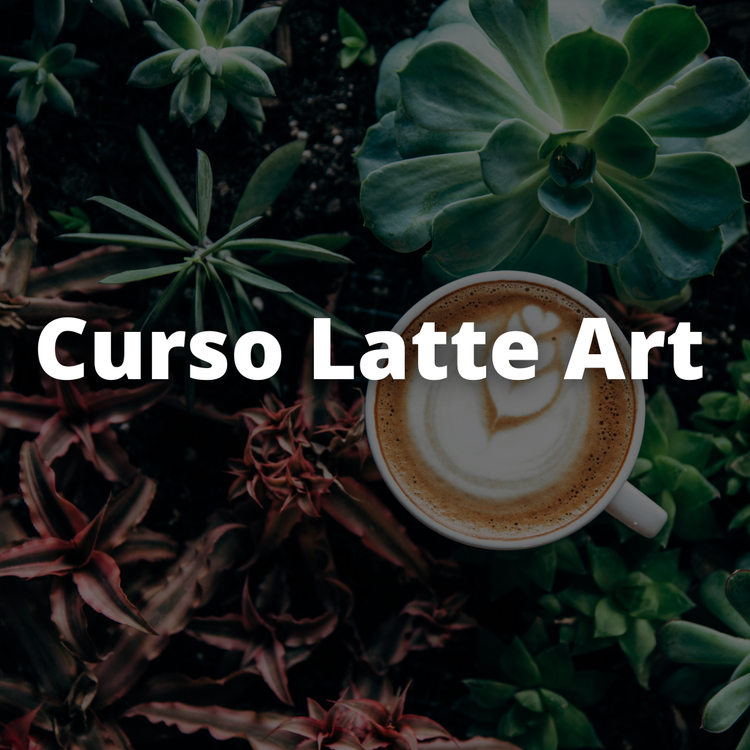 Curso de Latte Art | Aprende técnicas de emulsión y dibujos básicos