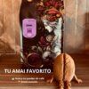 suscripción amai